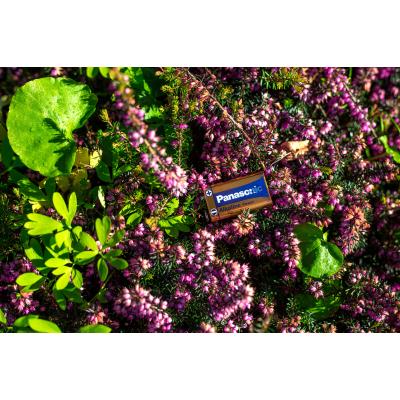 Батарейка Panasonic Крона 6LR61 Alkaline Power * 1 (6LF22APB/1BP) - изображение 4