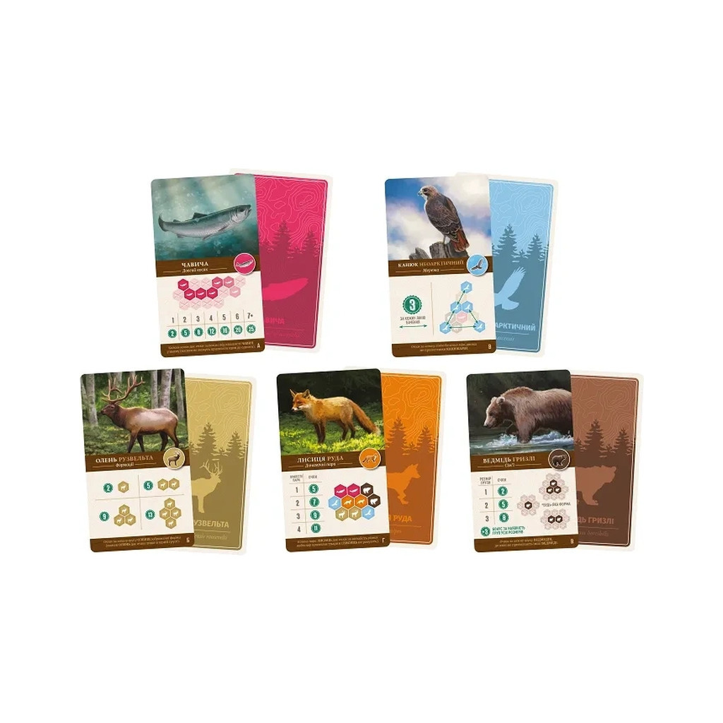 Настільна гра Lord of Boards Каскадія (Cascadia) (LOB2305UA) - зображення 3