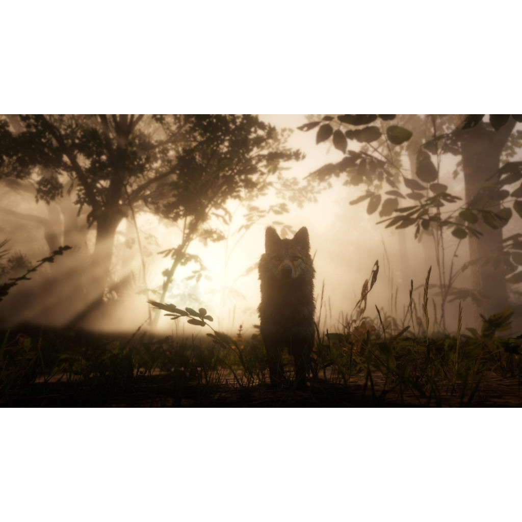Гра Sony Red Dead Redemption 2 [Blu-Ray диск] PS4 Russian subtitles (5026555423175) - зображення 4