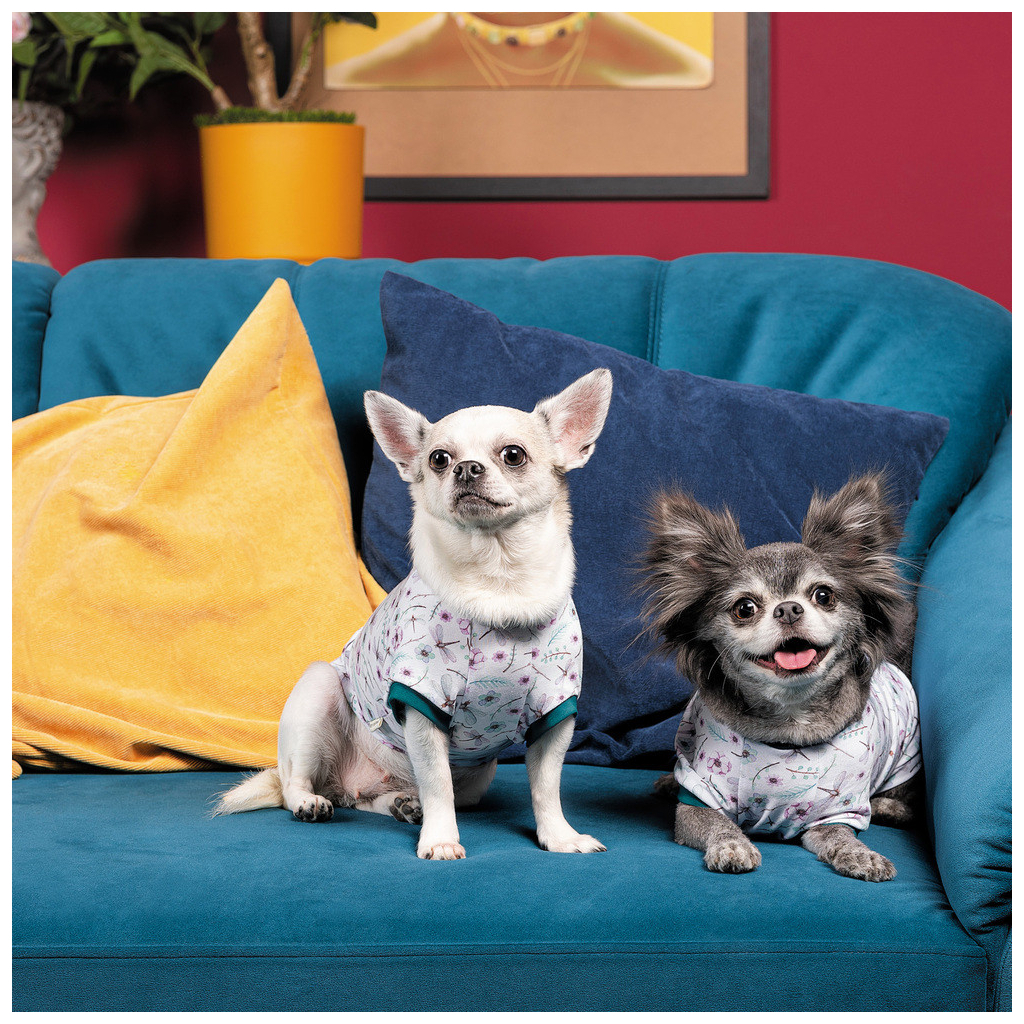 Футболка для тварин Pet Fashion Flora L біла з квітковим принтом (4823082441457) - зображення 4