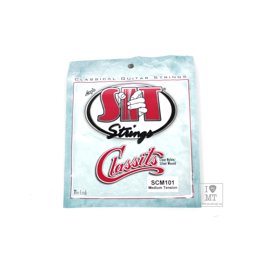 Струни для гітари SIT Strings SCM101 (30-40) (226930) - зображення 1