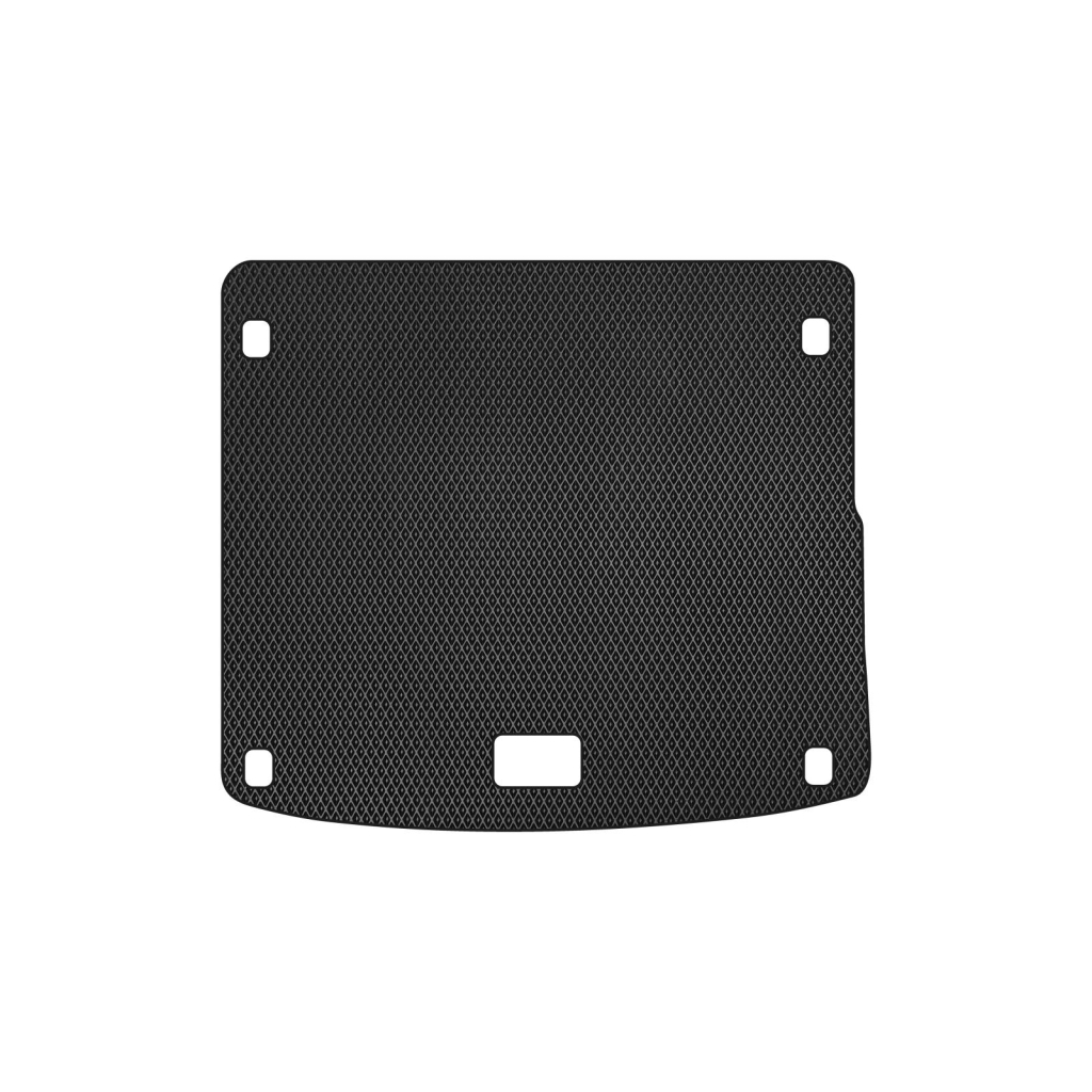 Килимок в багажник EVAtech Hyundai Ioniq Hybrid 2016+ Htb EU (HY11568BO1RBB) - зображення 1