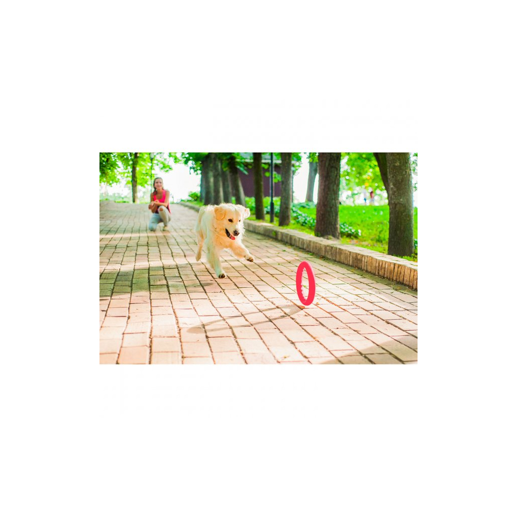 Іграшка для собак Collar PitchDog Кільце для апортування 28 см рожеве (62387) - зображення 5