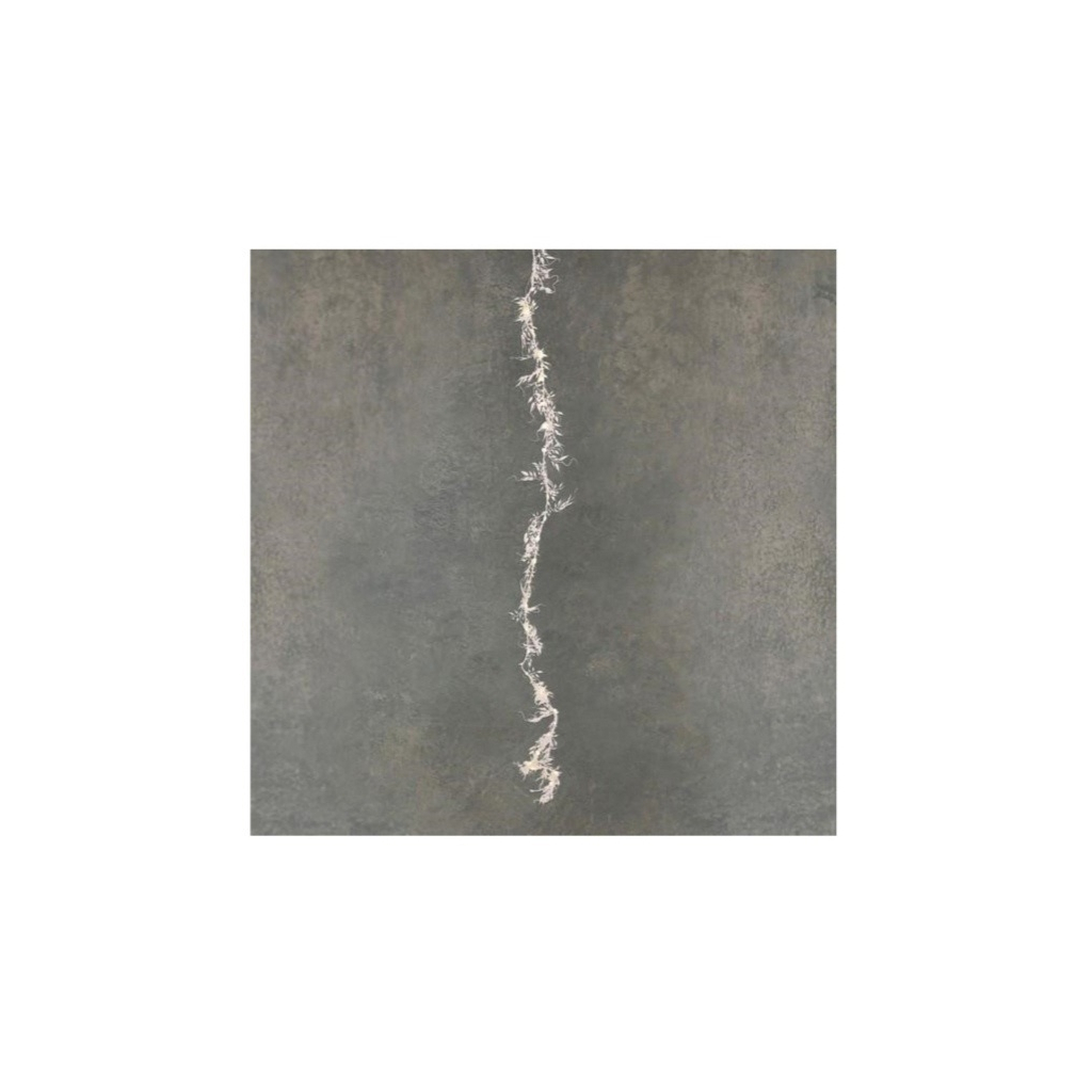 Гірлянда Luca Lighting Строката гілка холодний білий 150 см (8718861841015) - зображення 1