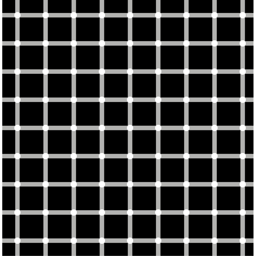 Книга Професор Дивоок - Енрік Жарді #книголав (9786177563838) - зображення 5