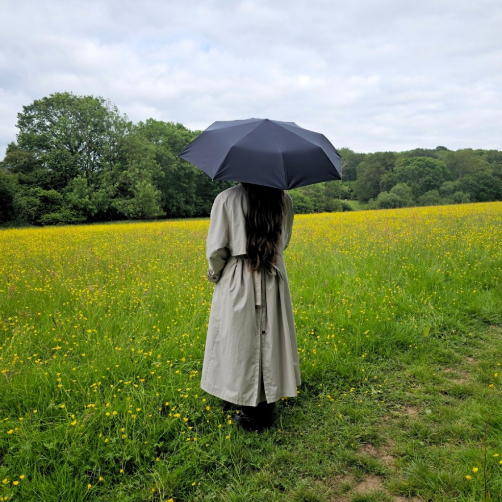 Парасоля Fulton Open&Close-3 L345 Black (L345-000175) - зображення 2