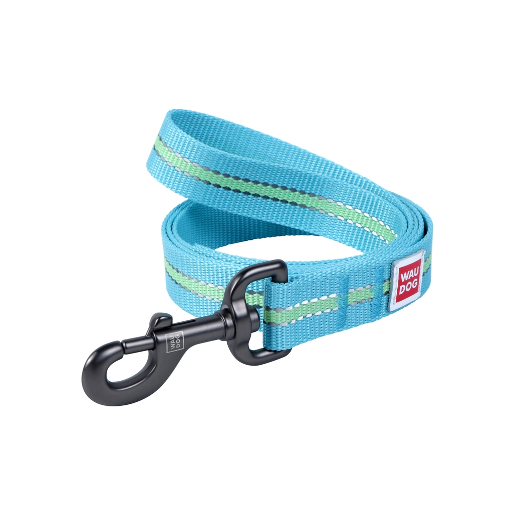 Повідець для собак WAUDOG Nylon світонакоплювальний M Ш 20 блакитний (45742) - зображення 1