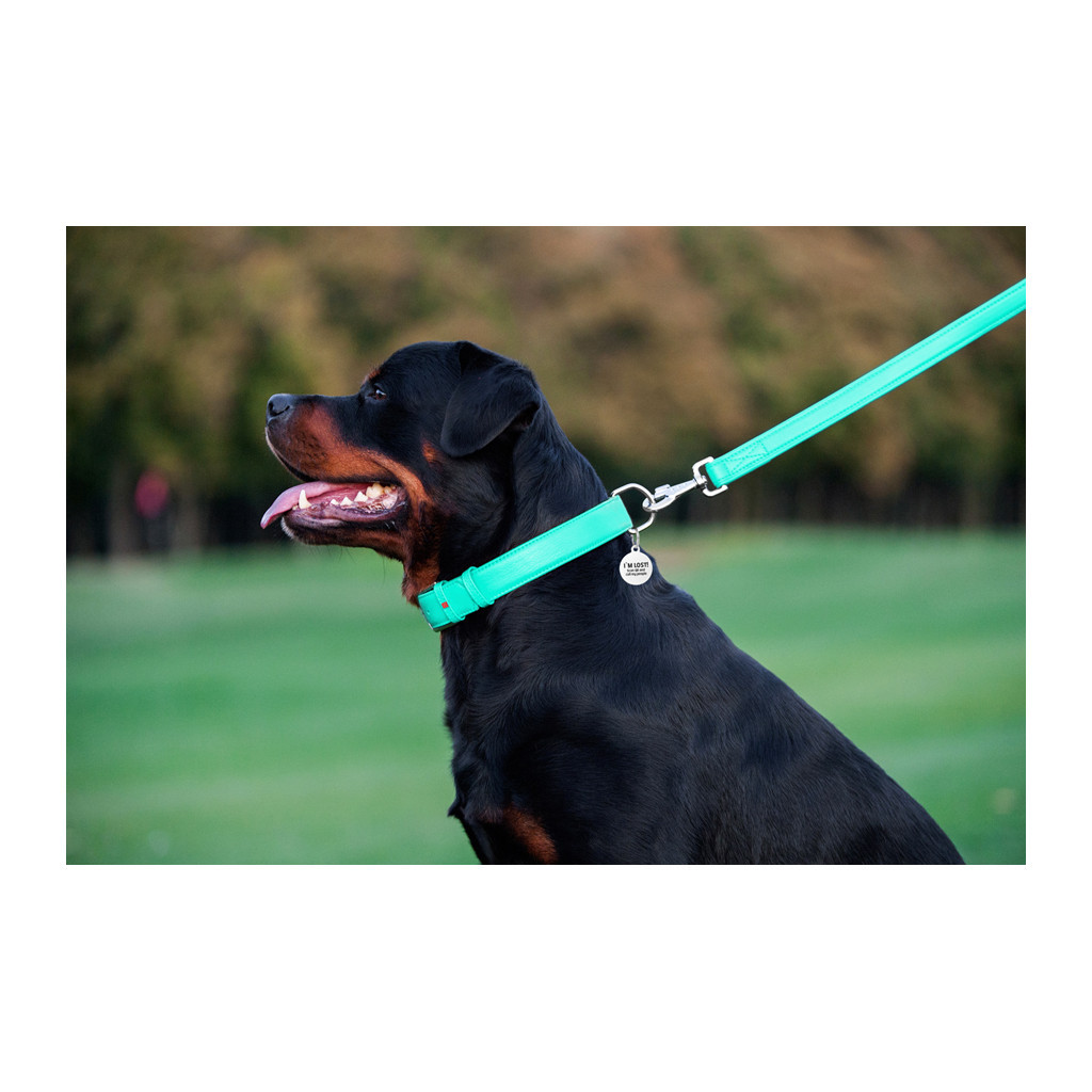 Повідець для собак WAUDOG Glamour шкіряний M-XXL ментоловий (337613) - зображення 8