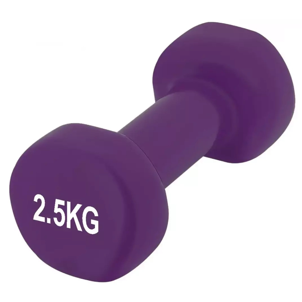 Гантель PowerPlay 4125 Achilles 2.5 кг Фіолетова (PP_4125_2.5kg) - зображення 1
