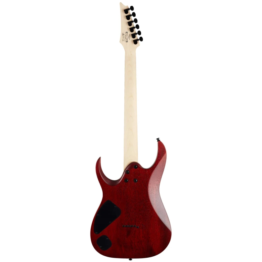 Електрогітара Ibanez RGA42FM TGF (229729) - изображение 2