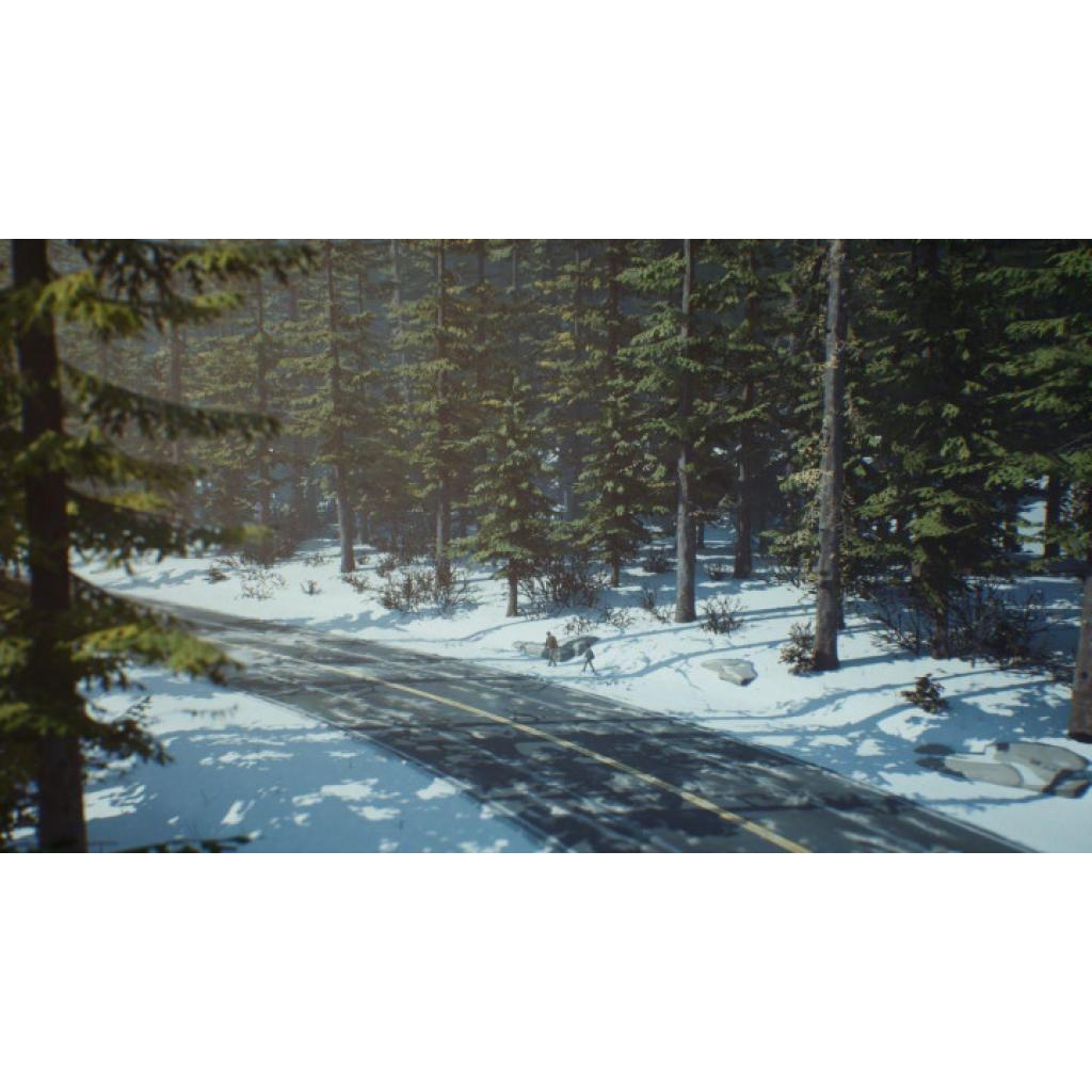 Гра Sony Life is Strange 2 [PS4, English version] (SLIS24EN01) - зображення 3