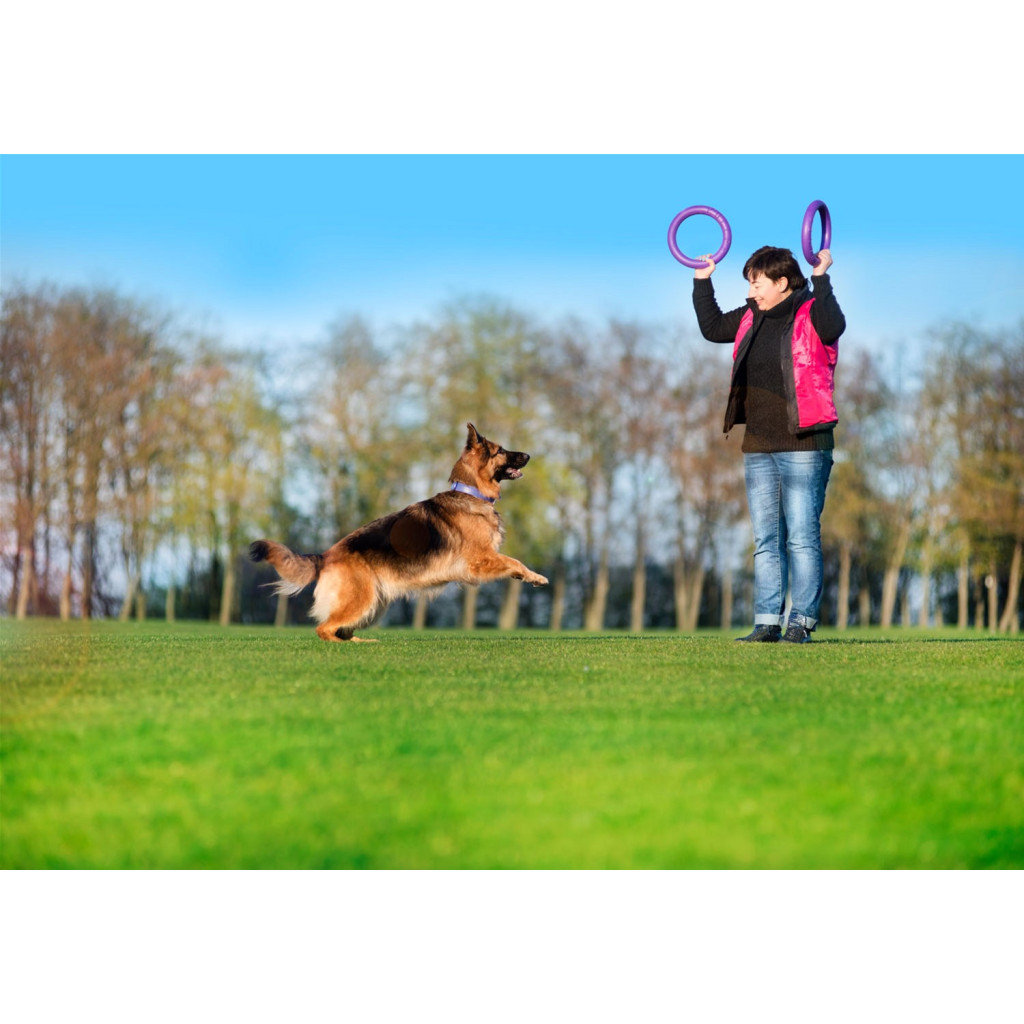 Іграшка для собак Puller Standard Тренувальний снаряд 28 см 2 шт (6490) - зображення 12