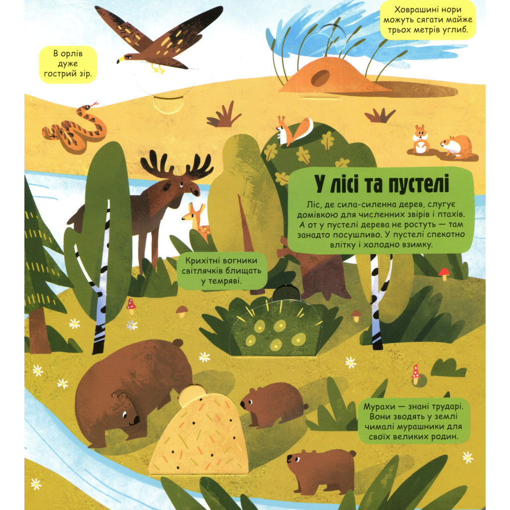 Книга Маленькі дослідники. Погода і природа #книголав (9786177563852) - зображення 12