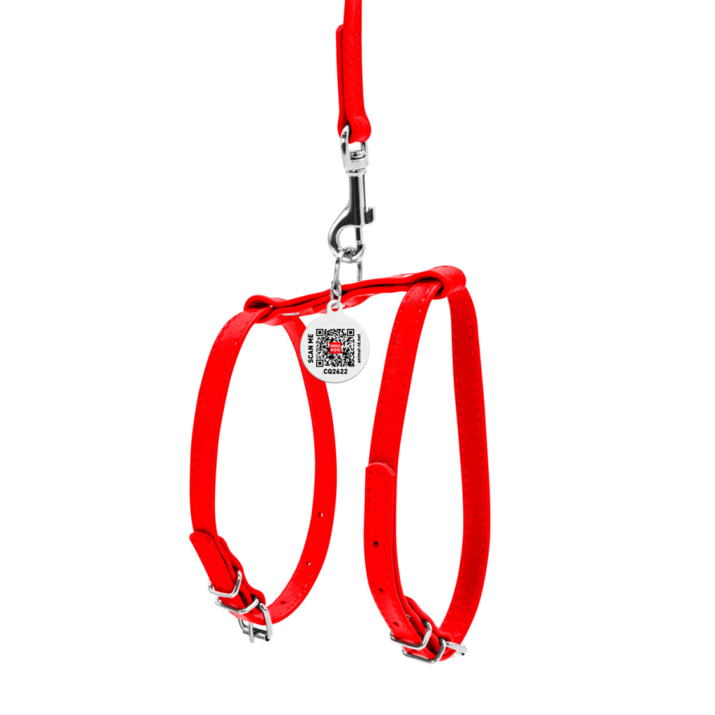 Шлея для собак WAUDOG Glamour з повідцем шкіряна Ш 9 мм А 20-30 см В 30-40 см червона (33993) - зображення 2