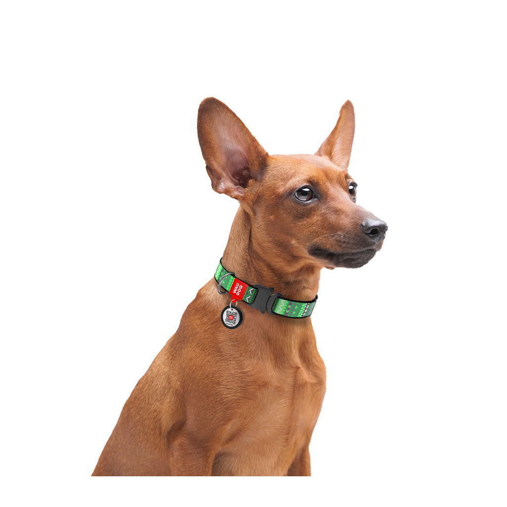 Нашийник для тварин WAUDOG Nylon з QR-паспортом "Етно зелений" металічна пряжка-фастекс L (5194) - зображення 4