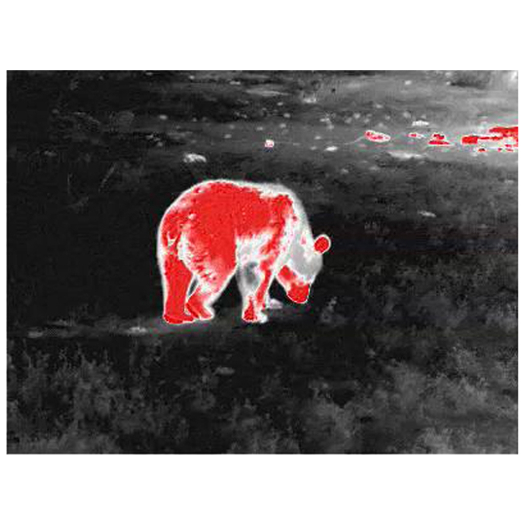 Монокуляр Guide тепловізійний TD431 LRF 2.6-10.4x35 384x28812m. 1800 м з далекоміром 600 м (TD431LRF) - зображення 5