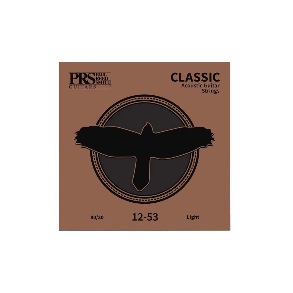 Струни для гітари PRS Classic Acoustic Strings Light 12-53 (100148024002005) - зображення 1