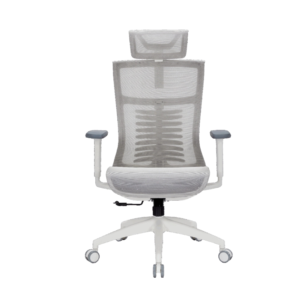 Офісне крісло OfficePro Balance OC620-W-LG-LG (OC620-W-LG-LG) - зображення 1