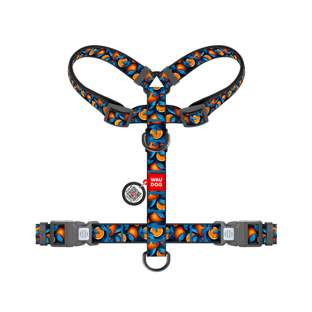 Шлея для собак WAUDOG Nylon анатомічна H-подібна з QR-паспортом "Апельсини" пластиковий фастекс, L (345-4054) - зображення 2