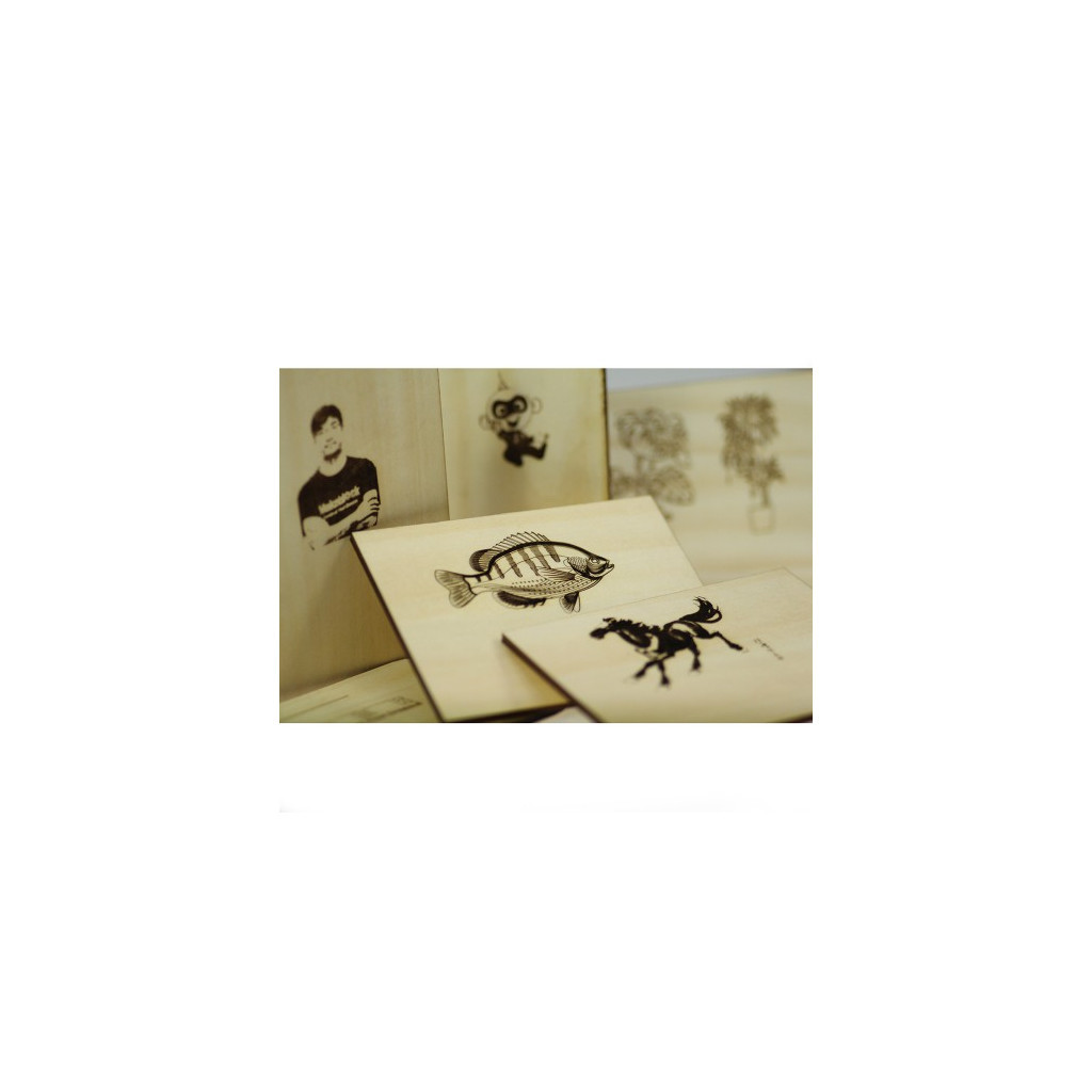 Конструктор Makeblock Розширення для XY Plotter 2.0: лазерна насадка (09.80.04) - зображення 10