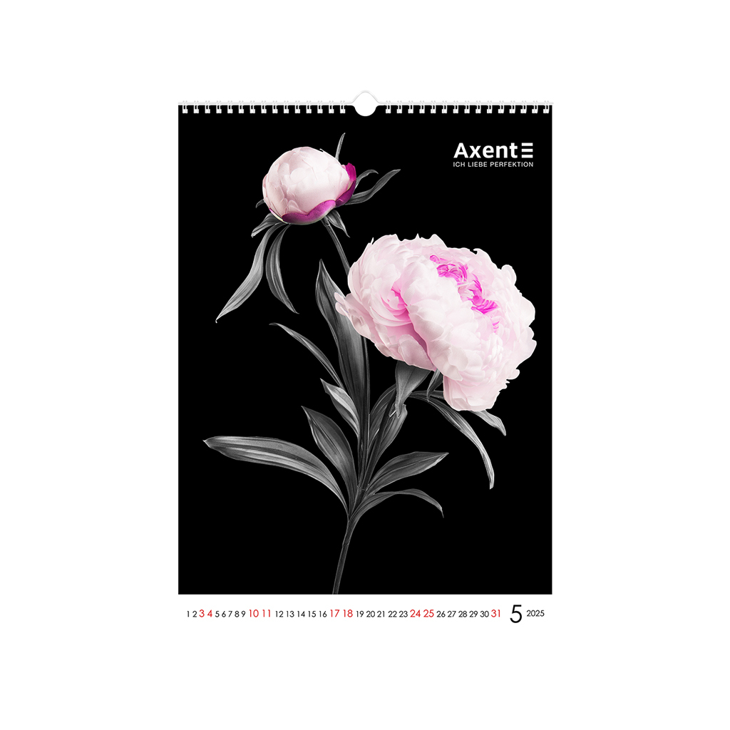 Календар Axent настінний А3 2025 рік One color art (8804-25-2-A) - зображення 6
