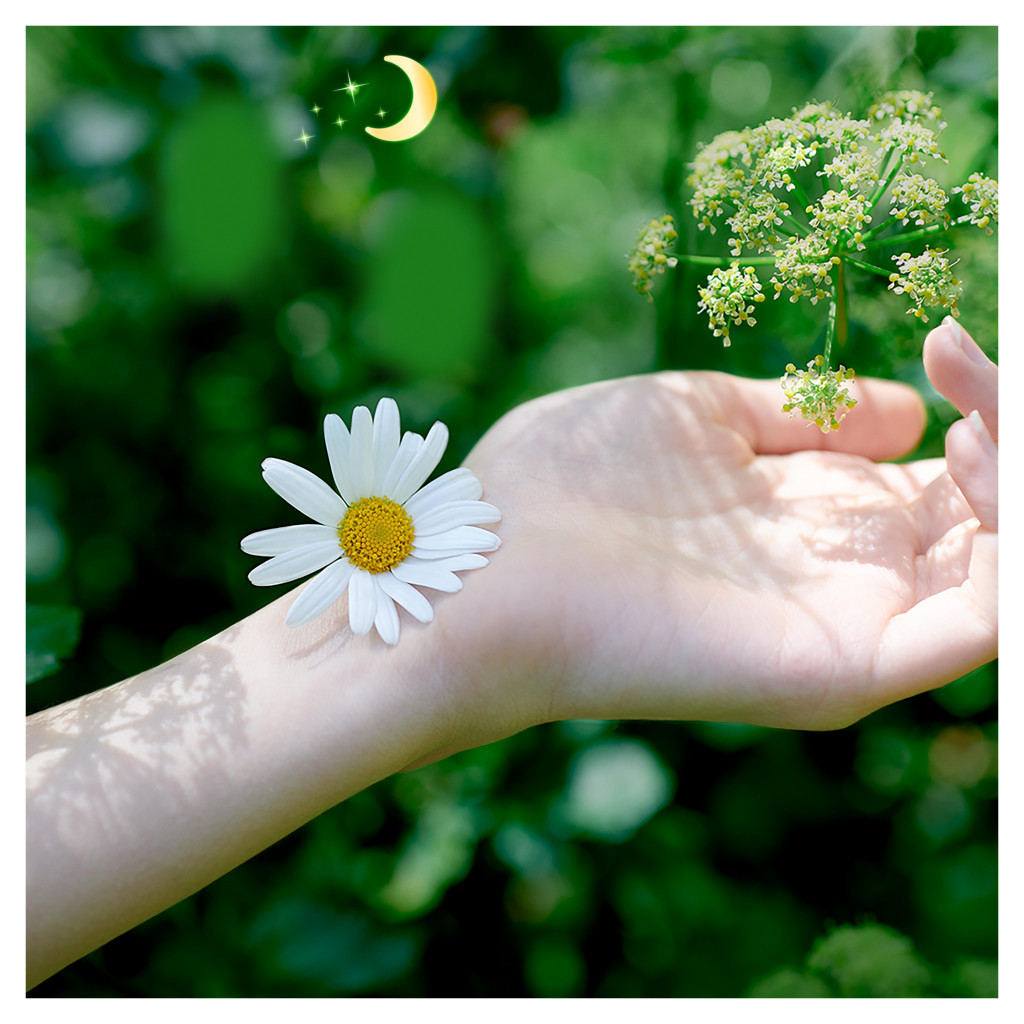 Гігієнічні прокладки Naturella Classic Night 12 шт. (8001841479385) - зображення 6