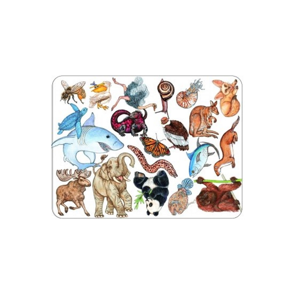 Настільна гра Djeco Займалка (Zanimatch) (DJ05153) - зображення 2