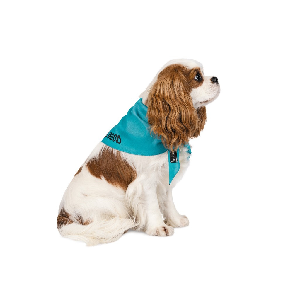 Бандана для тварин Pet Fashion "WEEKEND" M-XL блакитна (4823082421138) - зображення 2