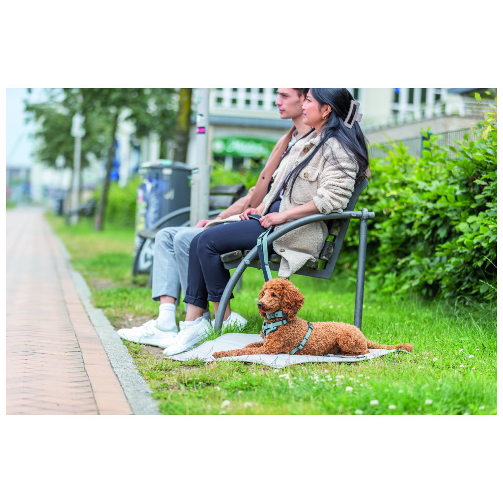 Шлея для собак Trixie CityStyle H-harness Бавовна XS–S 30–44 см 10 мм Світло-зелена (4053032682597) - зображення 2