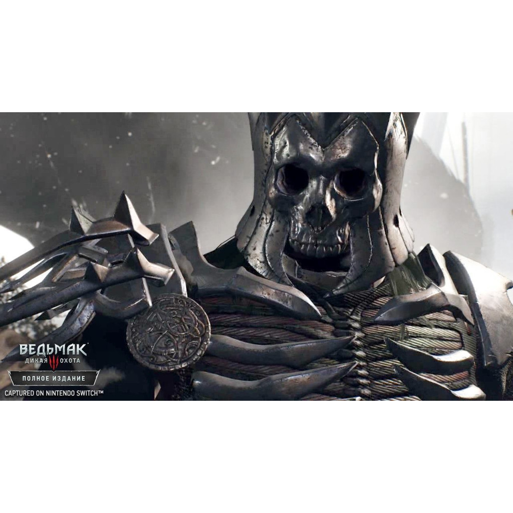 Гра Nintendo Switch The Witcher 3: Wild Hunt (1186876) - зображення 8