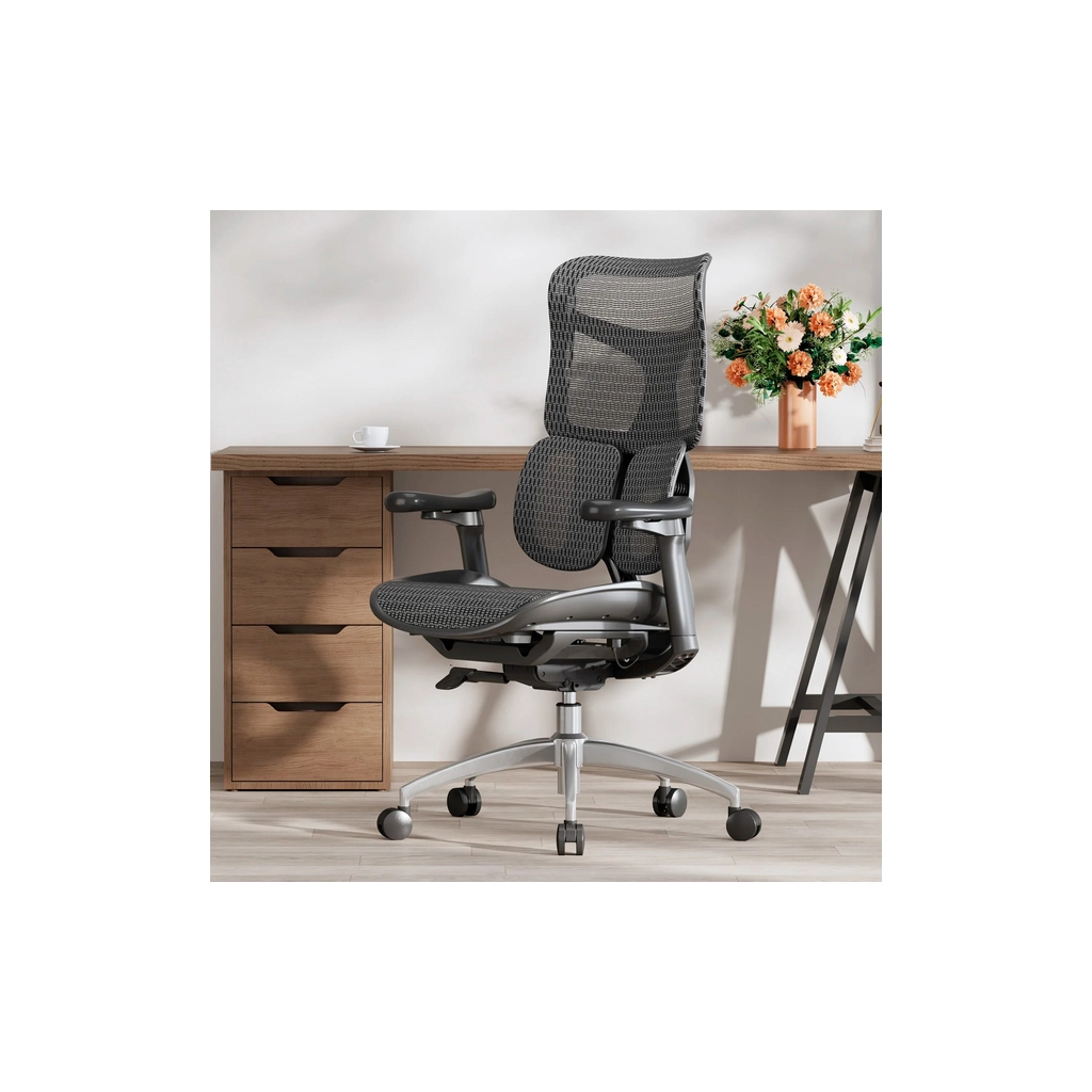 Офісне крісло Sihoo DORO S100 Mesh Black (S100-M301) - зображення 6