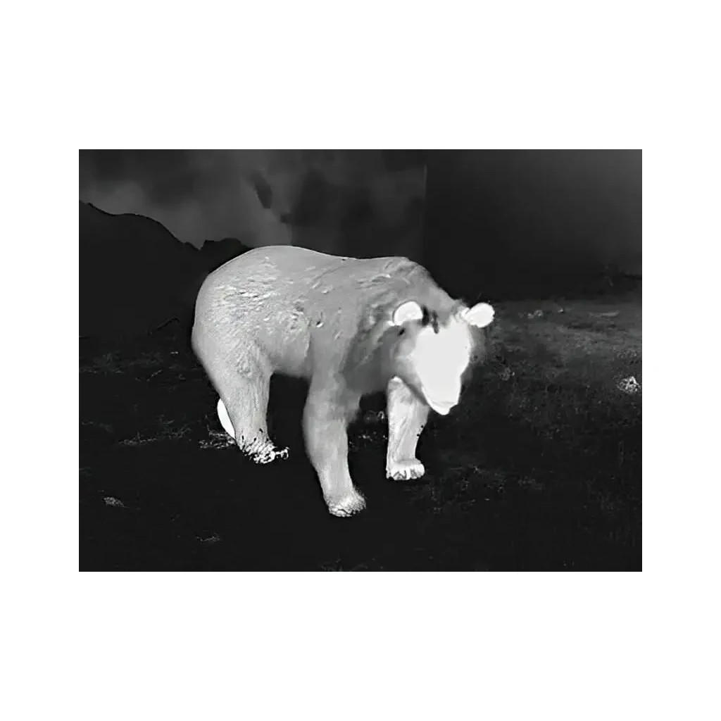 Монокуляр Guide Тепловізійний TD631LRF, 35mm, 640x480 (TD631LRF) - зображення 7