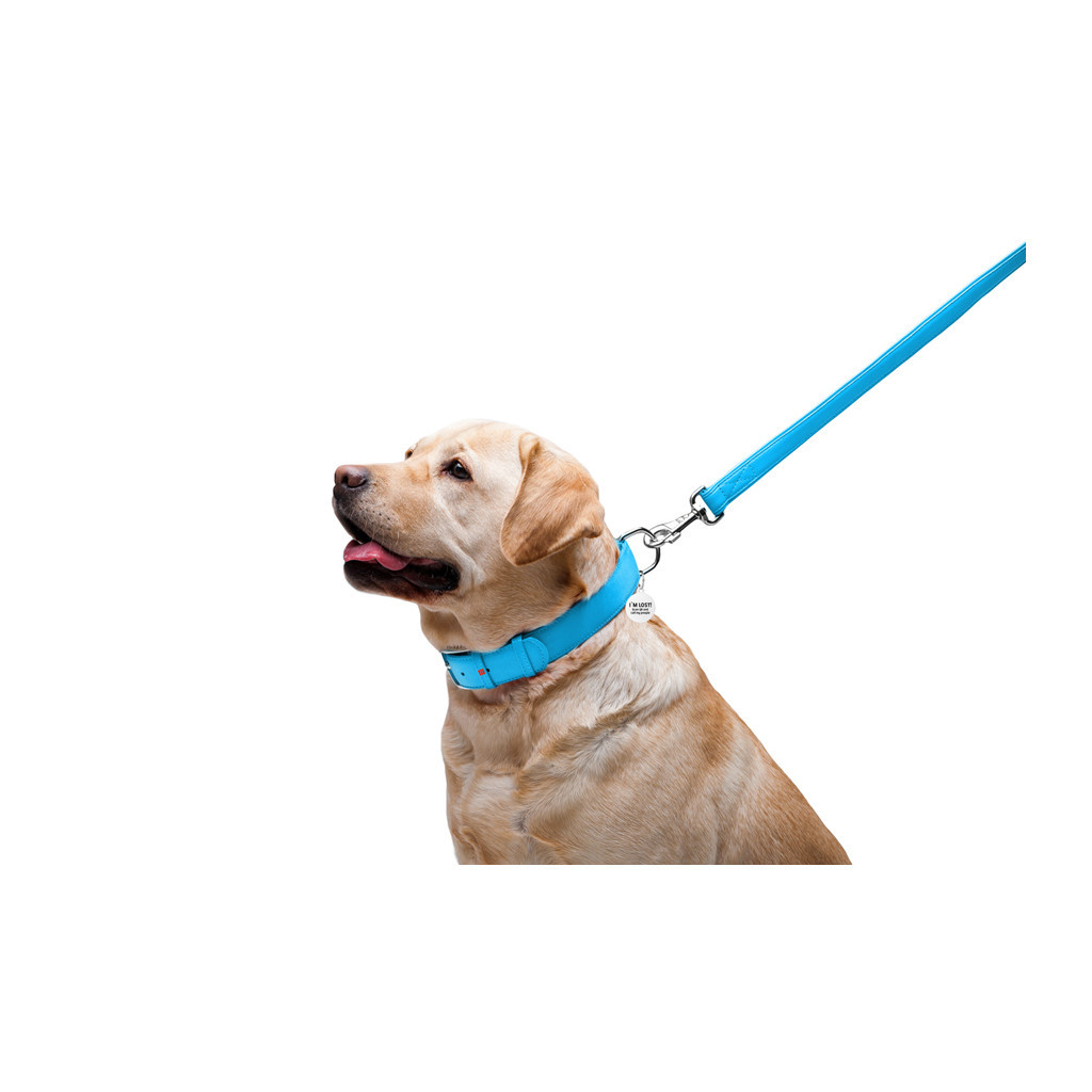 Повідець для собак WAUDOG Glamour шкіряний M-XXL блакитний (33762) - зображення 5