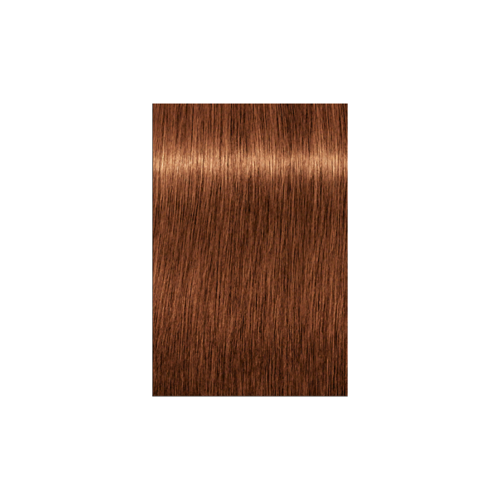 Фарба для волосся Schwarzkopf Professional Igora Royal Dusted Rouge 7-764 60 мл (4045787405149) - зображення 2