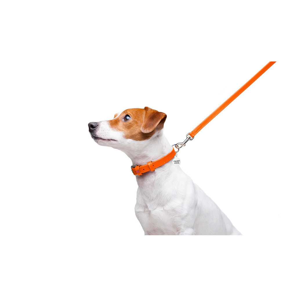 Повідець для собак WAUDOG Glamour шкіряний XS помаранчевий (33724) - зображення 5