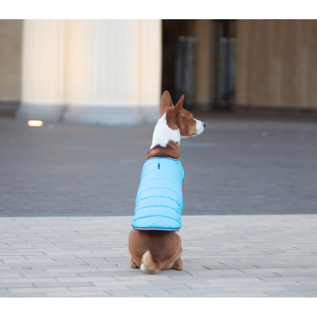 Курточка для тварин Airy Vest XXS блакитна (15402) - зображення 6