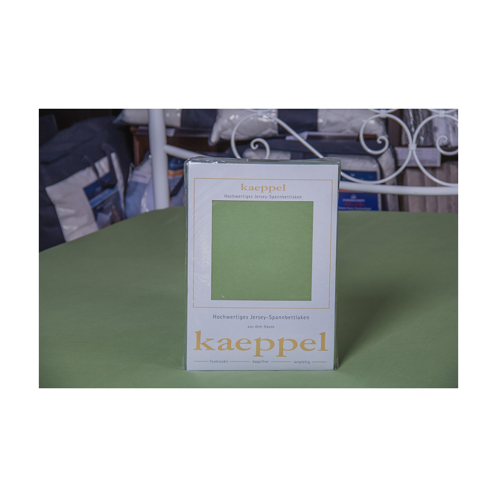 Простирадло Billerbeck трикотажне на резинці оливкове 100х200 см (1671-Е32) - зображення 1