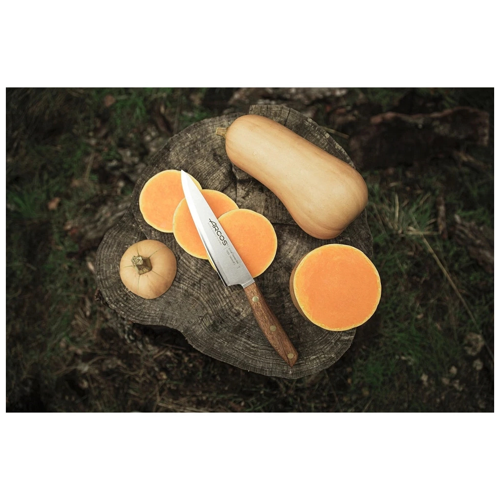 Кухонний ніж Arcos Nordika 160 мм (165900) - зображення 8