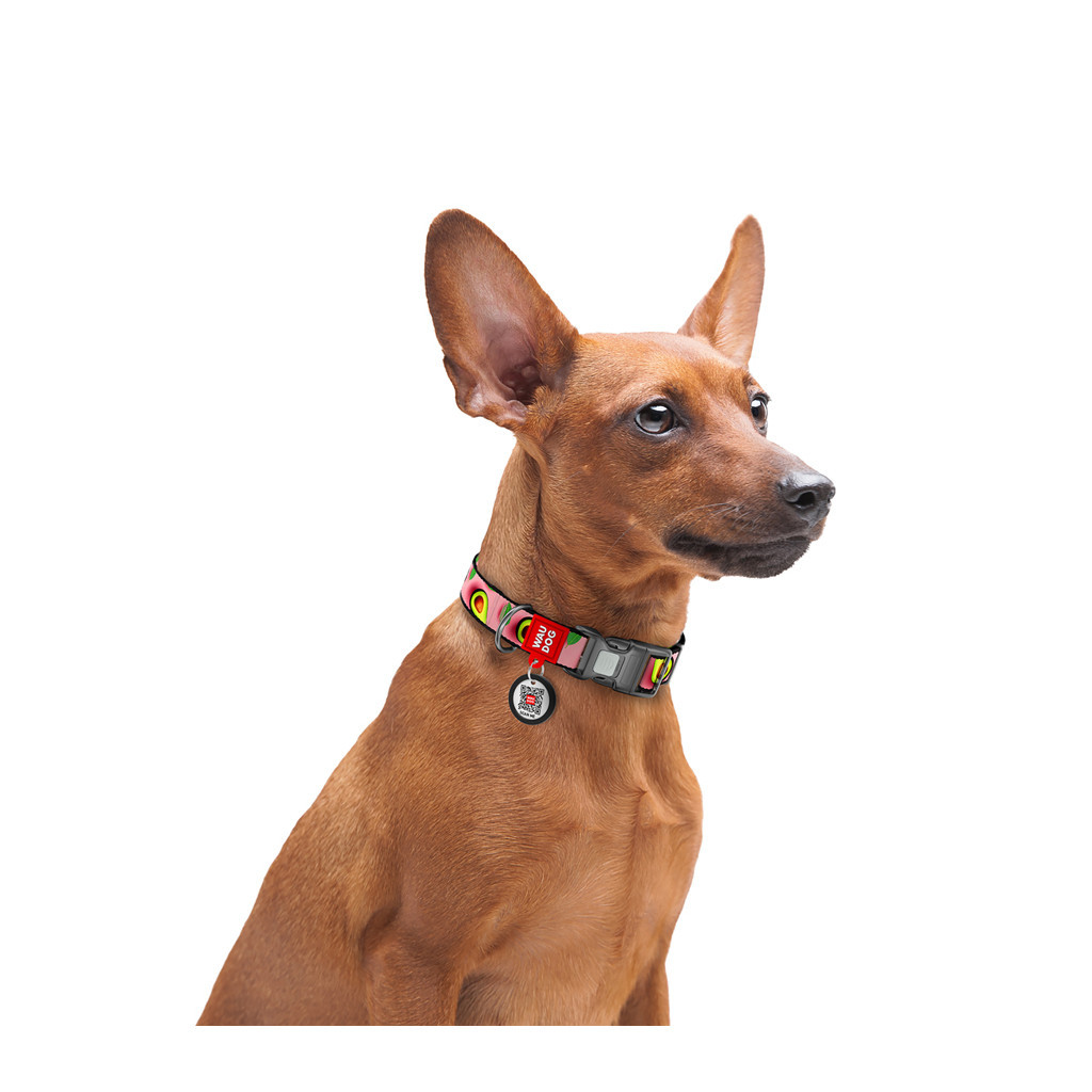 Нашийник для тварин WAUDOG Nylon з QR паспортом "Авокадо на рожевому" пластиковий фастекс М (281-4051) - зображення 4