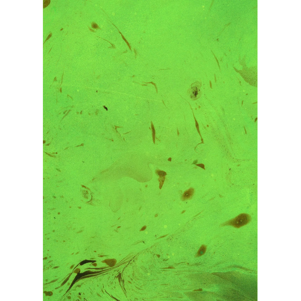 Книга Зелене чаклунство. Як відкрити для себе магію квітів, трав, дерев, кристалів тощо - П. Вандербек Vivat (9786171704749) - зображення 5