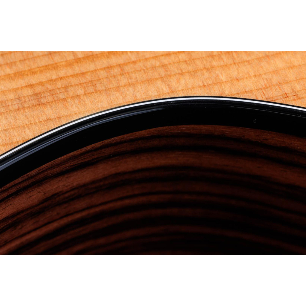 Гітара електроакустична Taylor Guitars 214ce PLUS (230198) - зображення 13