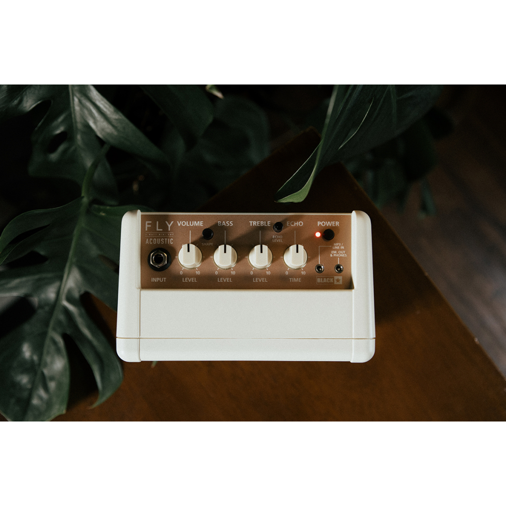 Комбопідсилювач Blackstar Fly 3 Acoustic (301016) - зображення 7