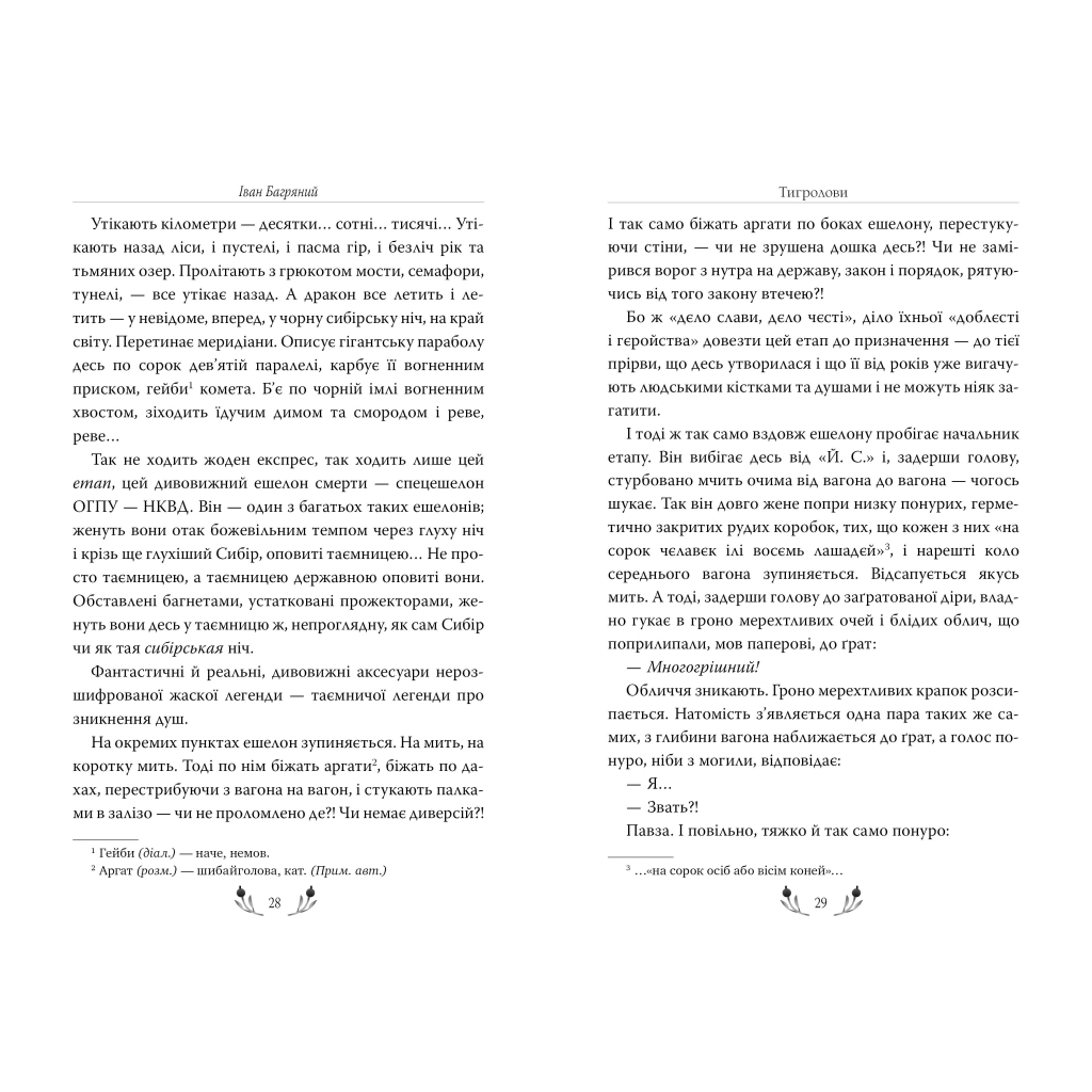 Книга Тигролови - Іван Багряний Видавництво РМ (9786178248932) - зображення 4