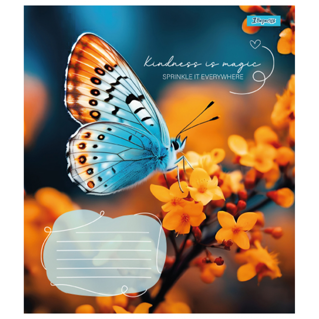 Зошит 1 вересня Butterfly А5 24 аркушів клітинка (767273) - зображення 4