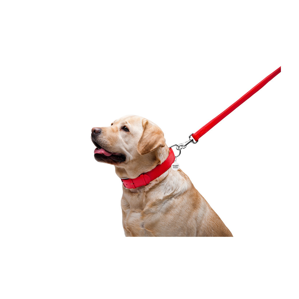 Повідець для собак WAUDOG Glamour шкіряний M-XXL червоний (33763) - зображення 5