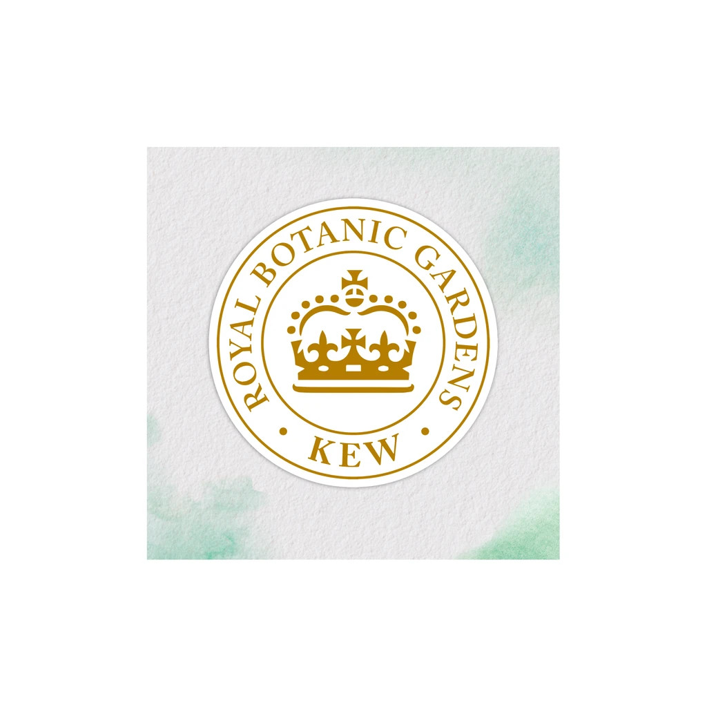 Шампунь Herbal Essences Апельсин Для об'єму волосся 350 мл (8700216210713) - зображення 3