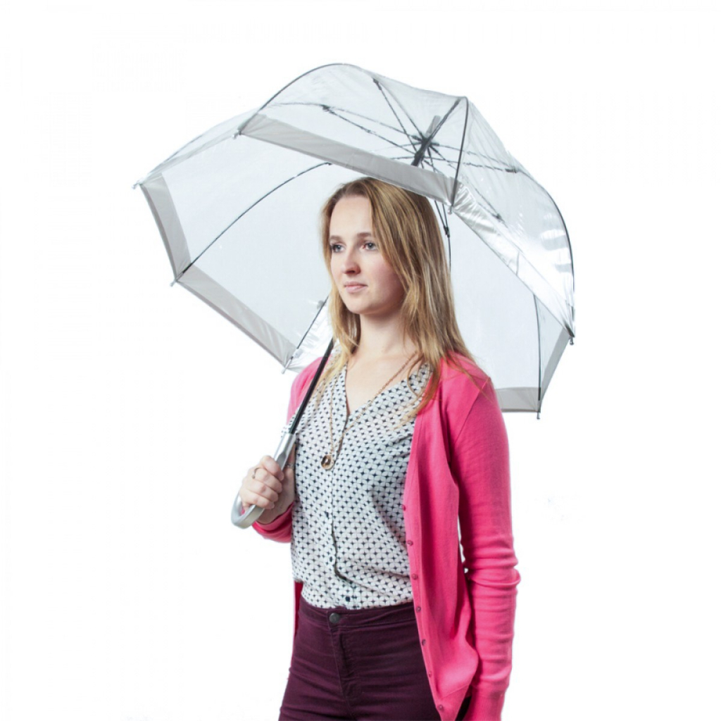 Парасоля Fulton Birdcage-1 L041 Silver (L041-015599) - зображення 2