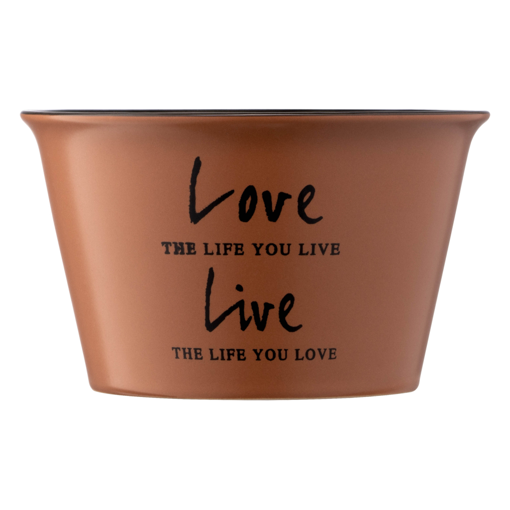 Бульйонниця Ardesto Way of Life 550 мл Brown (AR3479BR) - зображення 4