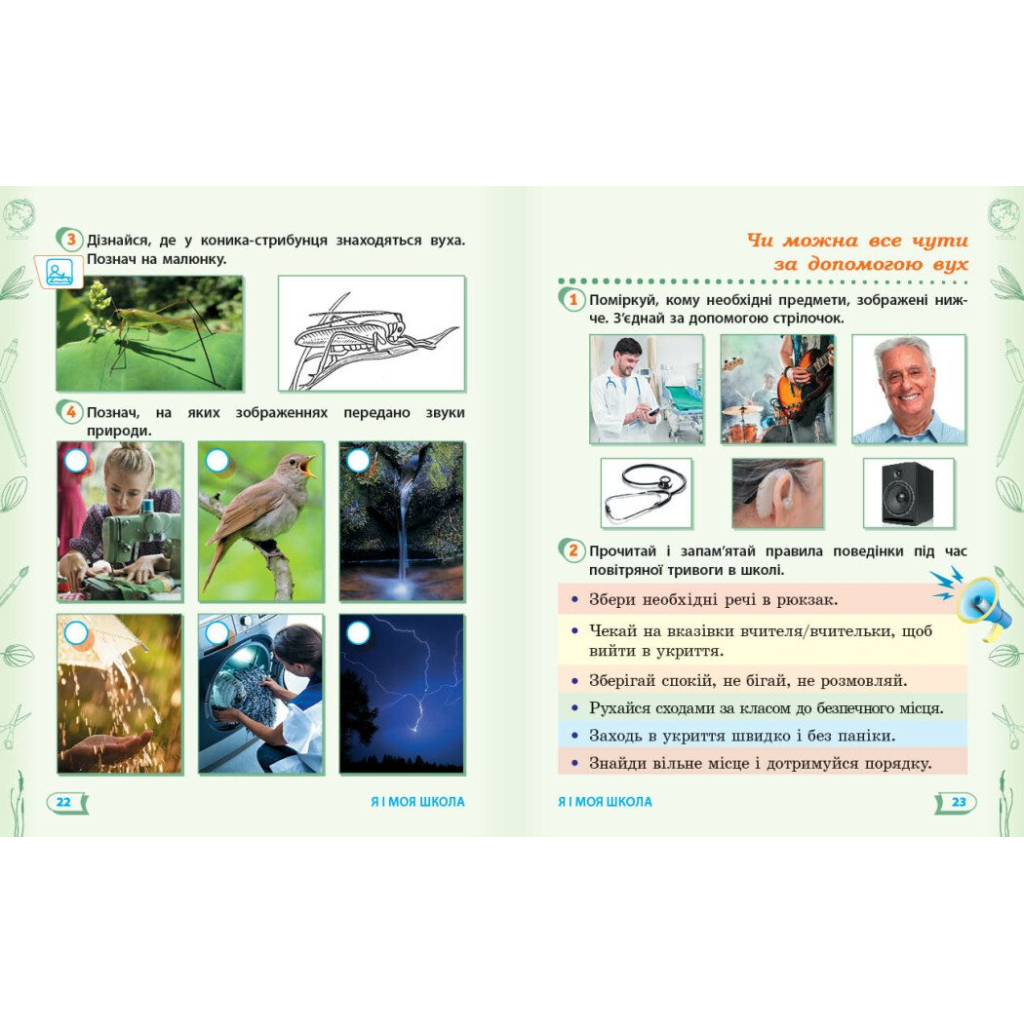 Робочий зошит НУШ ДИДАКТА Я досліджую світ. 1 клас. Частина 1 - А.А. Назаренко Ранок (9786170954213) - зображення 6