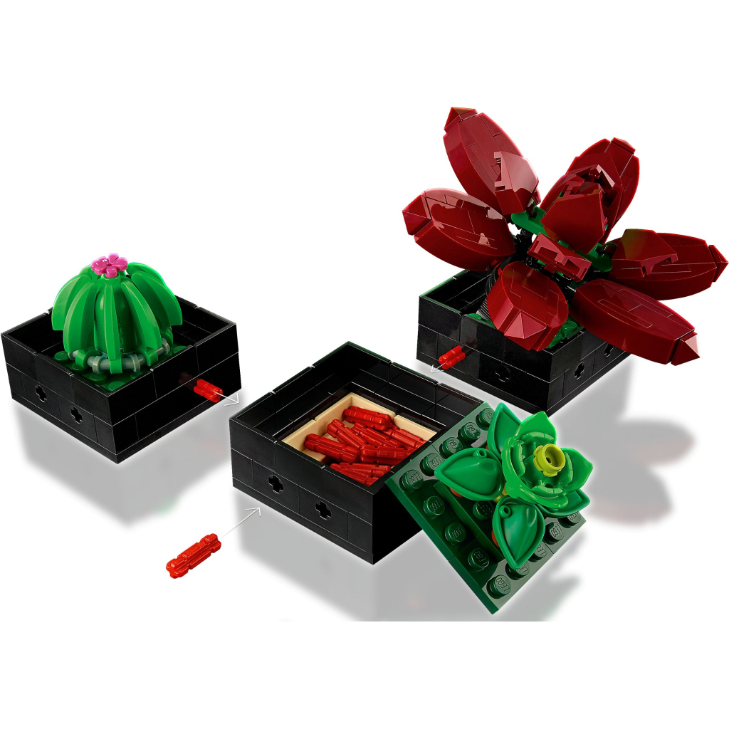 Конструктор LEGO Botanicals Сукуленти (10309-) - зображення 6